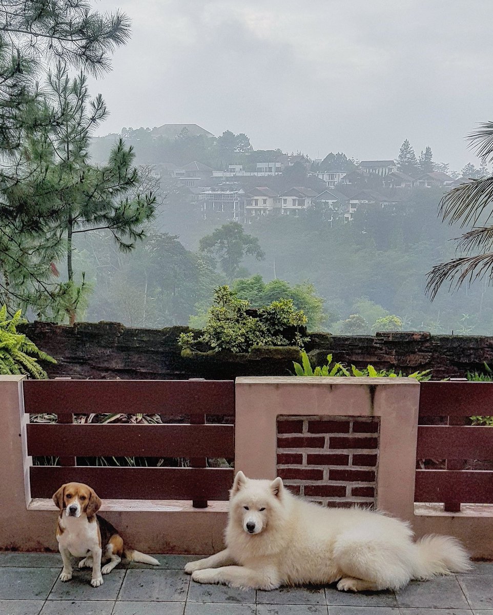 YandaKevinzo's tweet photo. Dan mereka pun kedingdongan.. https://t.co/v5axoctvz2