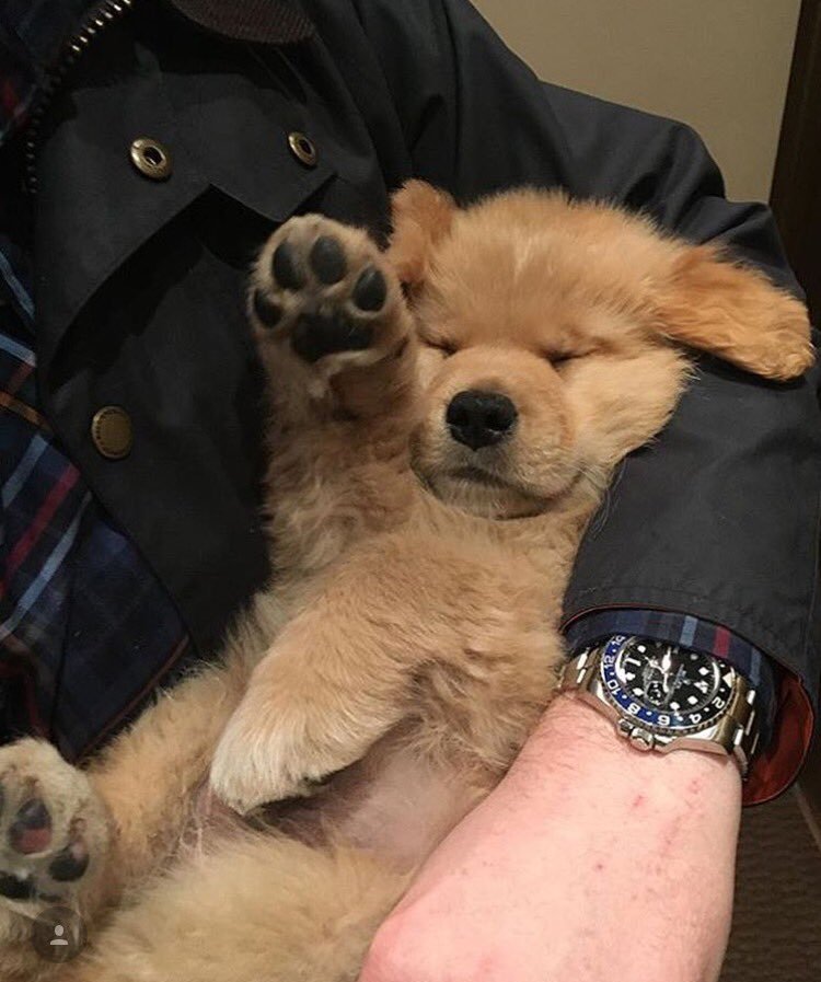 Psychology Facts (@adcbft) on Twitter photo 