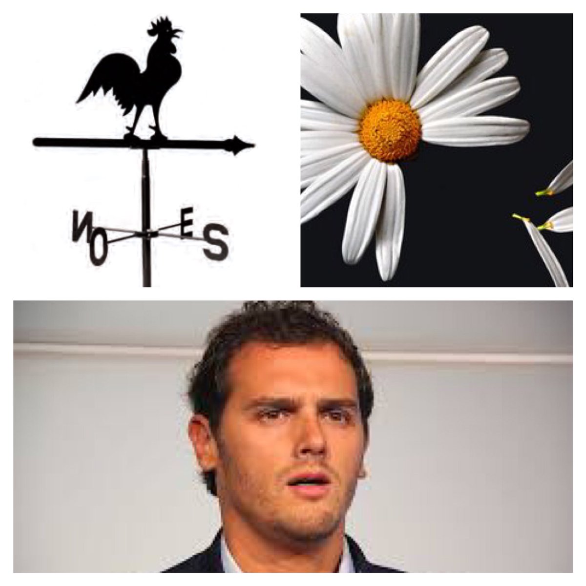 Juan Antonio Morales 🇪🇸 tweet media
