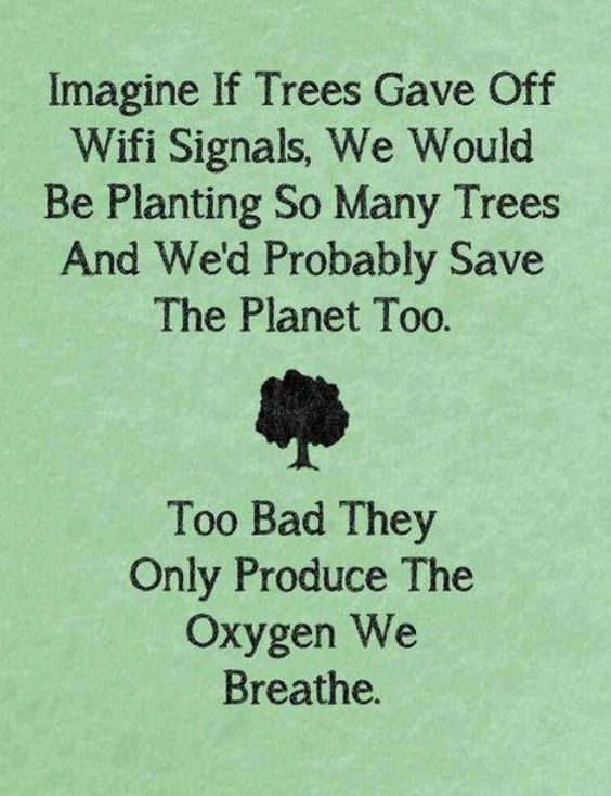 JoyfullyECO's tweet photo. Too Bad trees only produce the oxygen we breathe. #GoGreen #awareness #ActOnClimate (via Thewritefuture) https://t.co/YpoIk5kS22