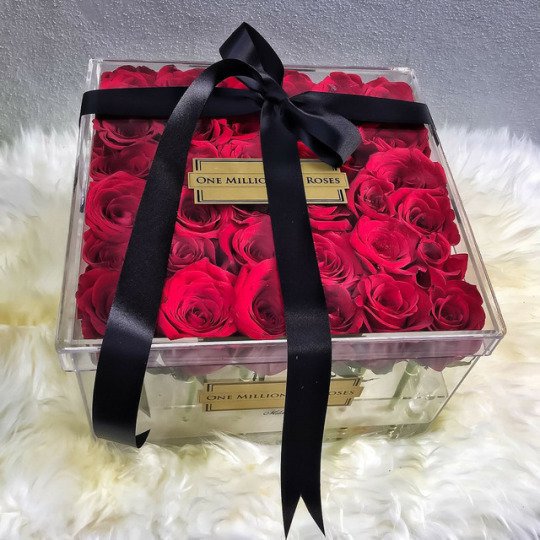 atkimkai's tweet photo. for you, my bear. happy belated monthversary 💕thank you for still loving me until now I'm blessed. https://t.co/ryskTIaOe3