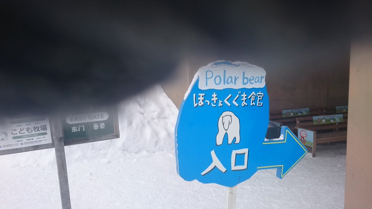 つっちぃー旅行記 けもフレなか卯のサーバルちゃんに会いに行く旅 旭山動物園 日帰り Togetter つっちぃー旅行記 けもフレなか卯のサーバルちゃんに会いに行く旅 旭山動物園 日帰り Togetter