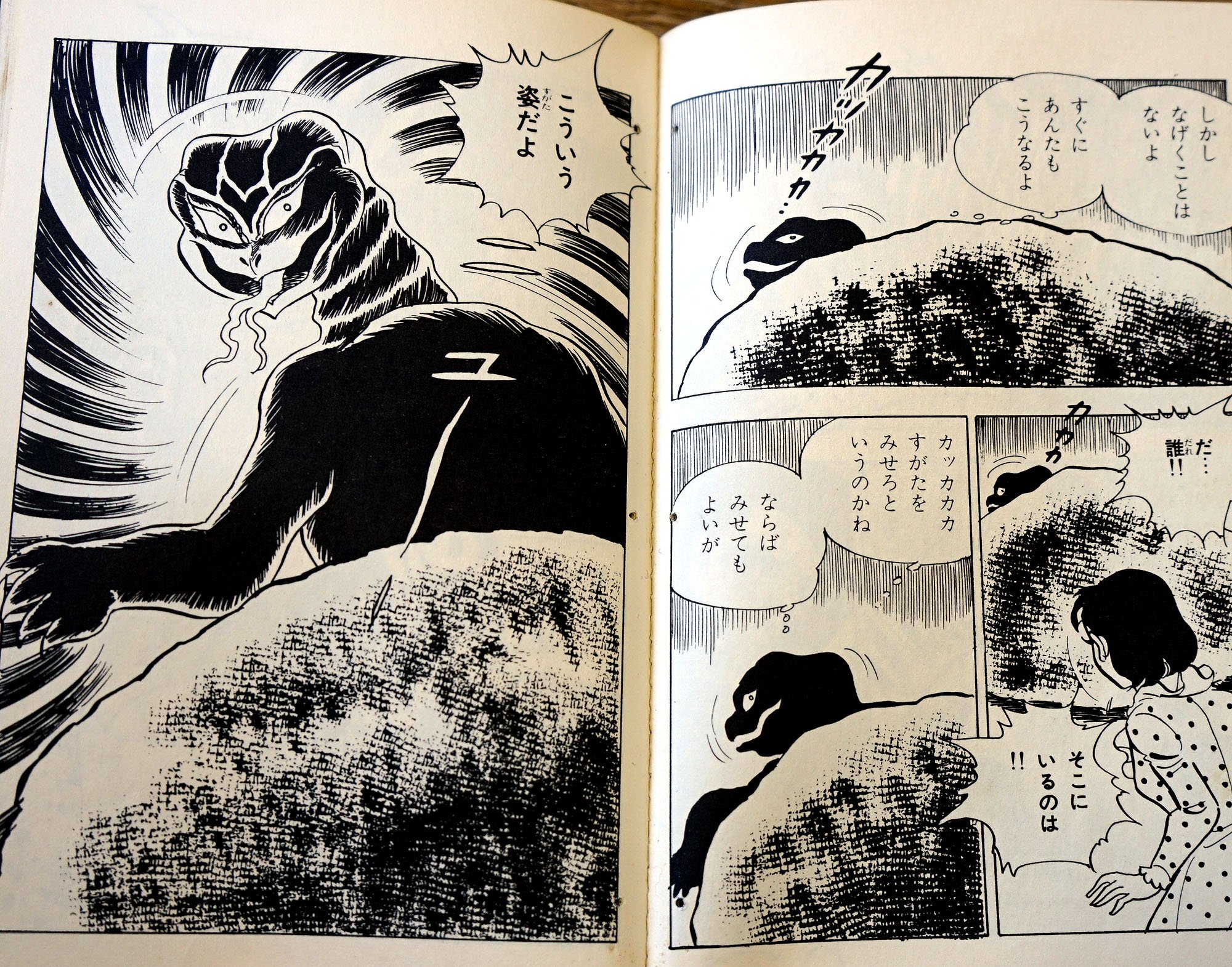 杉戸光史「骨と奇少女」
