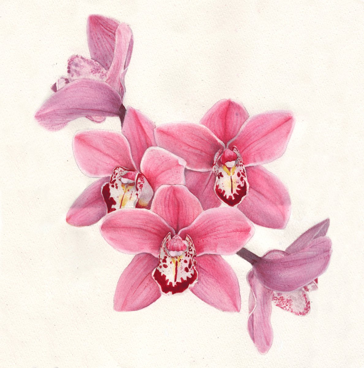 flowierdesign's tweet image. Quiero seguir llenando mis cartulinas de florecitas. Pd: Cada vez mejoro un poquito más mi técnica 🌸