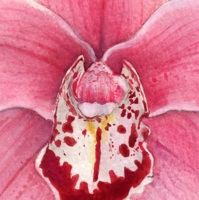 flowierdesign's tweet image. Quiero seguir llenando mis cartulinas de florecitas. Pd: Cada vez mejoro un poquito más mi técnica 🌸