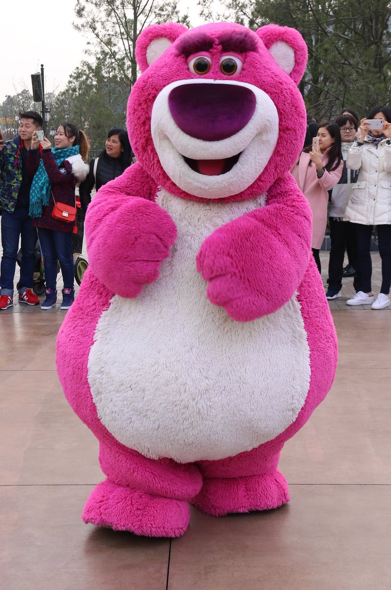 lotso toy story costume