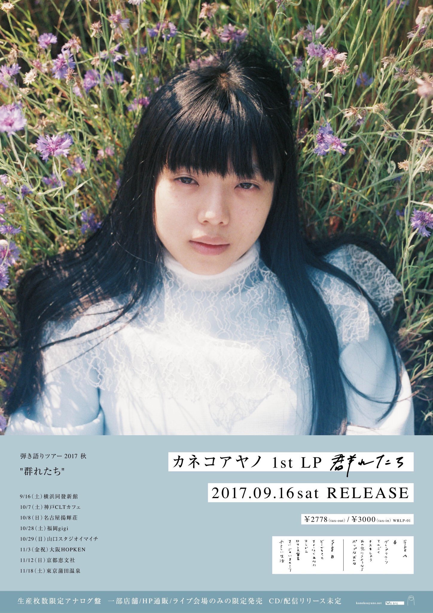エアコンの風を有効活用 カネコアヤノ 群れたち レコード lp 本・音楽