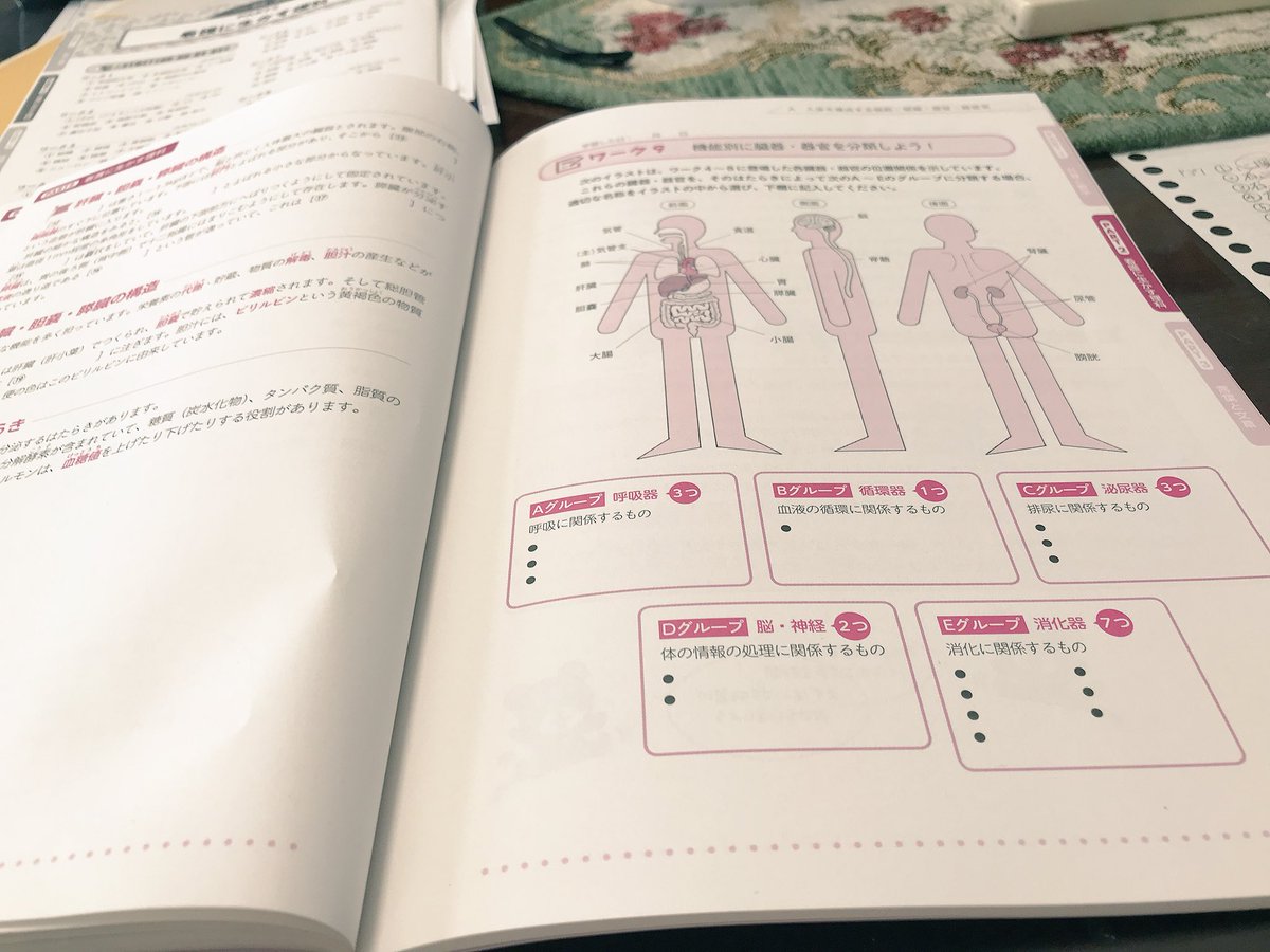 DNK_rinrin's tweet image. やっぱり体の機能とからへん好き。

#勉強垢さんとつながりたい 
#一緒に頑張ってくれる人RT