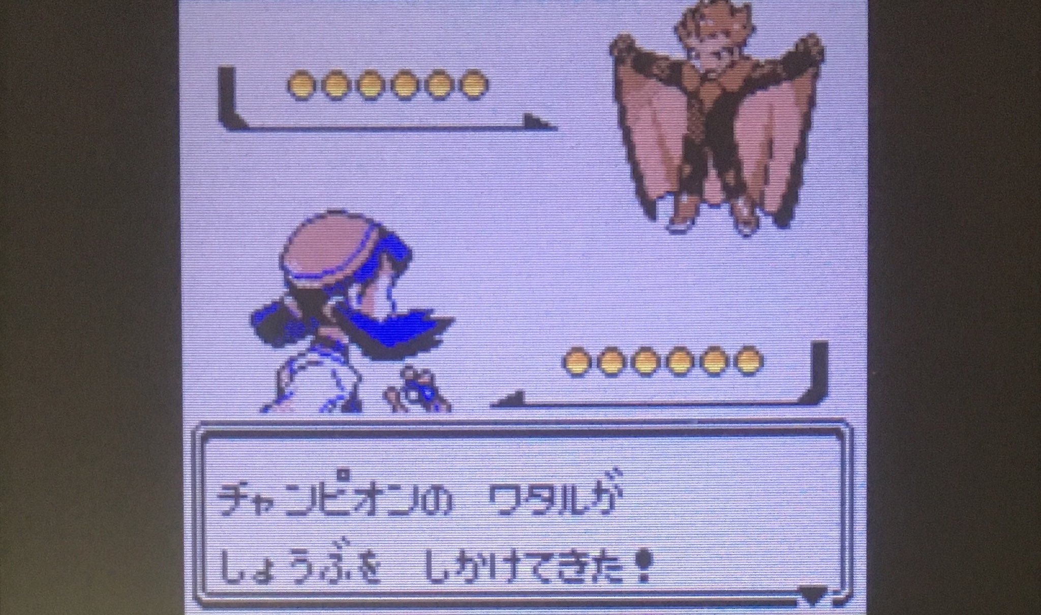 Twitter 上的 エルザ ワタル戦 突破 殿堂入り 手持ち クロバット Lv 42 ゲンガー Lv 42 フーディン Lv 41 ギャラドス Lv 40 ストライク Lv 40 バクフーン Lv 45 Vcクリスタル無事に殿堂入り 縛り付けなかったからあっさりクリア