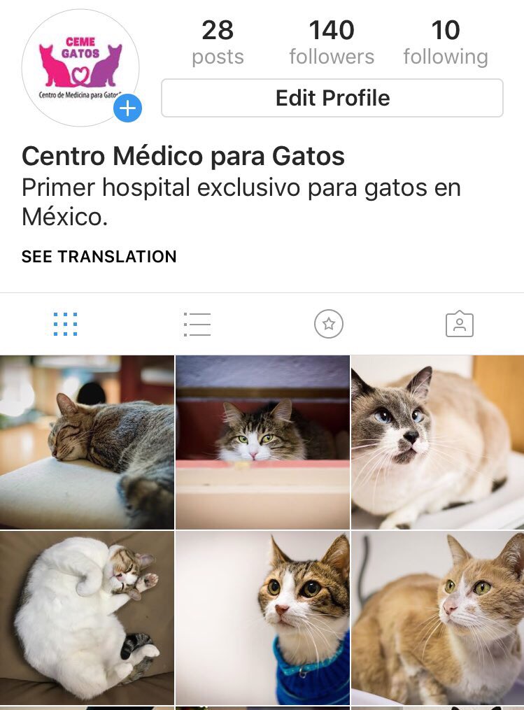 cemegatos's tweet photo. ¿Ya nos sigues en Instagram?  @cemegatos https://t.co/CIBPNMqrzU