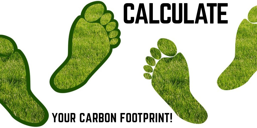 Wonder how your lifestyle, daily activities and habits affect the environment? 

Check this calculator and learn how you can become carbon neutral.

 Ready for the challenge?

carboneutralife.com/calculate-your…

#carbonfreeTO
#carbonfree
#Carbon