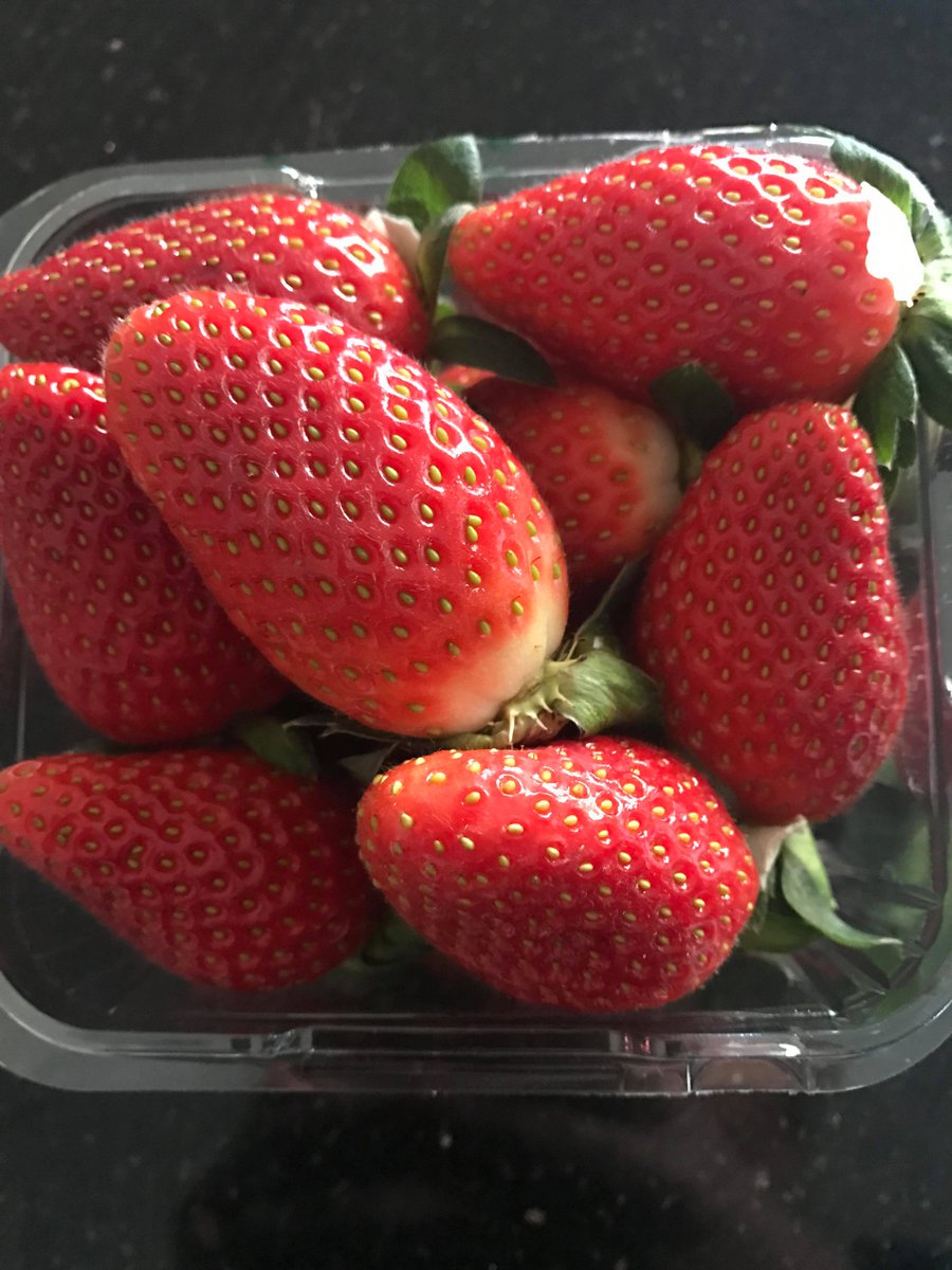 Aussie Fruit and Veg Box Perth (AusFruitNVegBox) Twitter