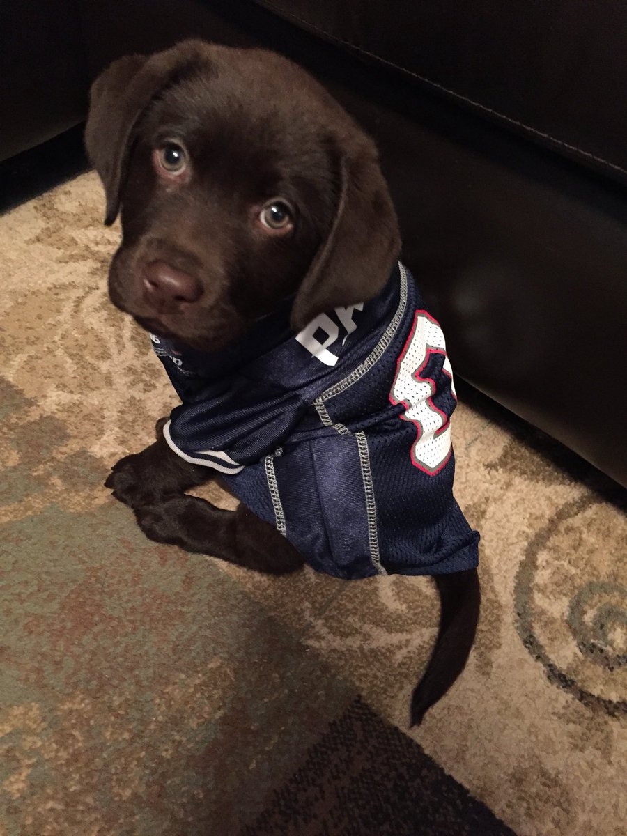 David Cole tweet media