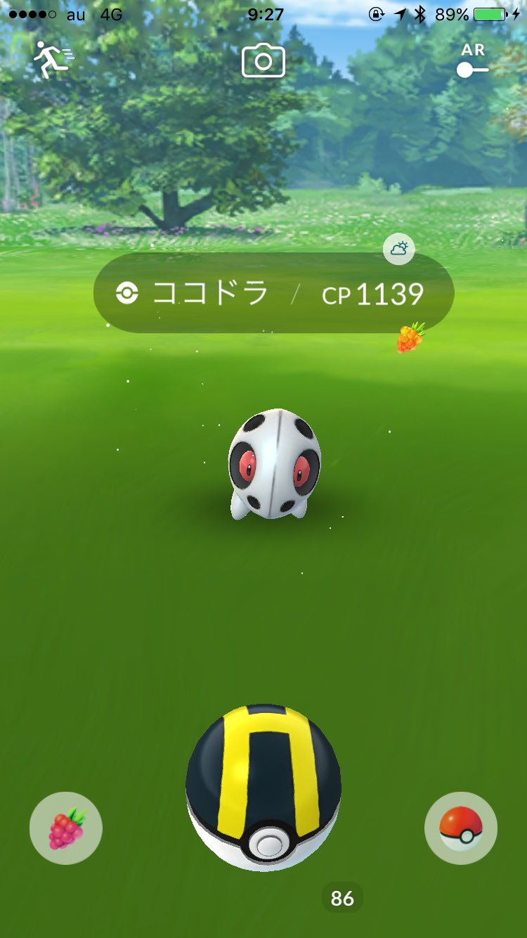 アマトゲキッサー Sur Twitter 武岡に個体値98 Pl35のココドラが出たから 捕まえに行ったらなんと色違い W ボスゴドラに進化させてフル強化しました 運を使い果たした気が なぜかメスばっかり 笑 色違いココドラ3体目 ボスゴドラ 色違い アマトゲキッサー Sur Twitter 武岡に個体値98 Pl35のココドラが出たから 捕まえに行ったらなんと色違い W ボスゴドラに進化させてフル強化しました 運を使い果たした気が なぜかメスばっかり 笑 色違いココドラ3体目 ボスゴドラ 色違い