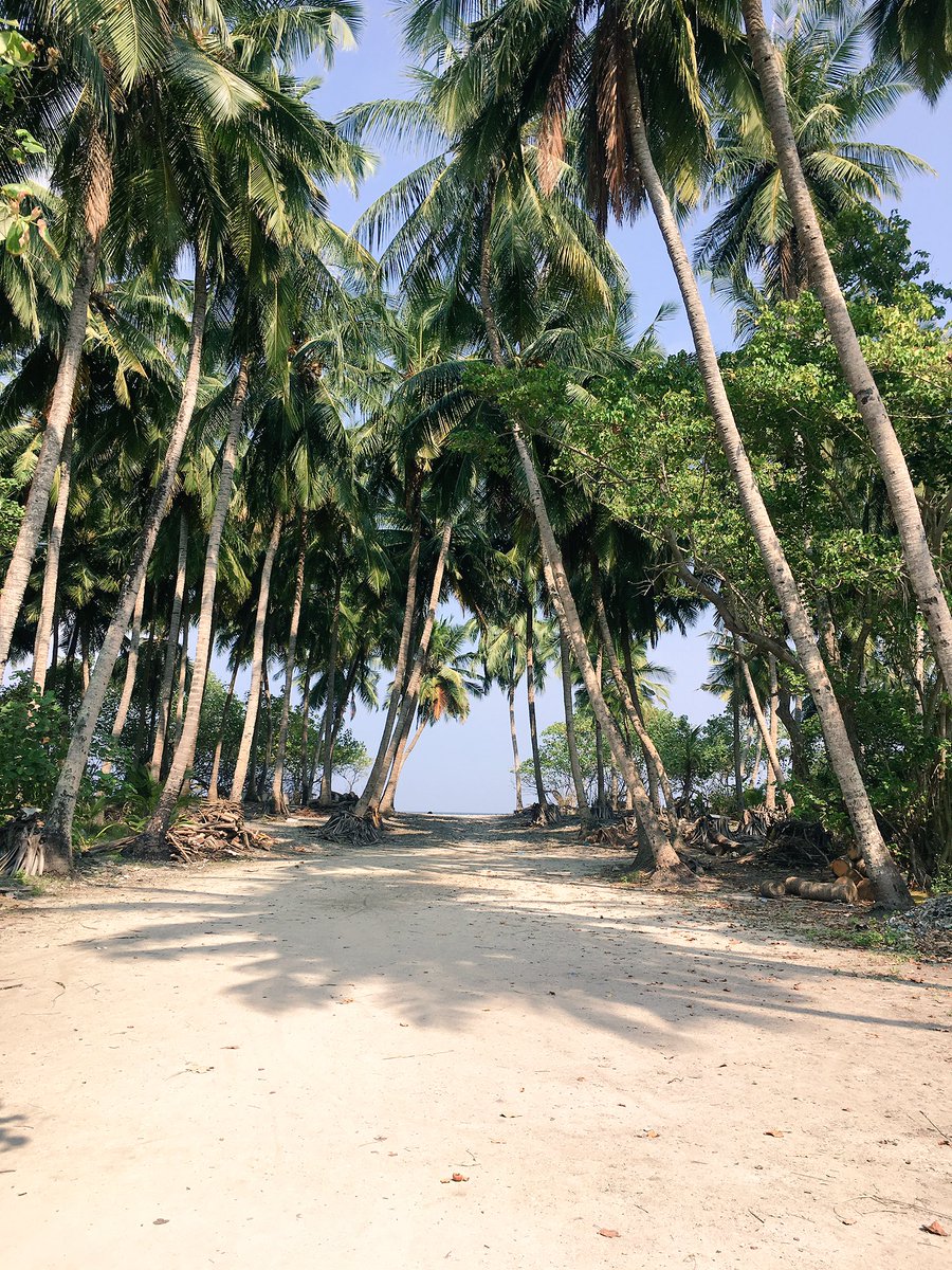 Gonna miss these kind of views! 😍💔 #aharengeraajje #saafudhivehiraajje #islandlife #raajjethere