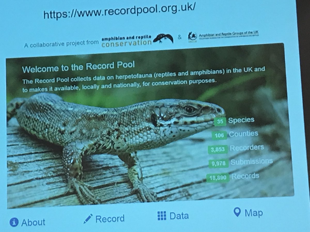 LuckyFrogLog's tweet photo. It’s day 2 of #HWM2018 and great first talk by Karen Haysom of @arc_bytes on #amphibian #reptile monitoring, highlighting #sandlizards #natterjacktoads &amp; #poolfrogs. @ARGroupsUK https://t.co/T5JUsTAaPX