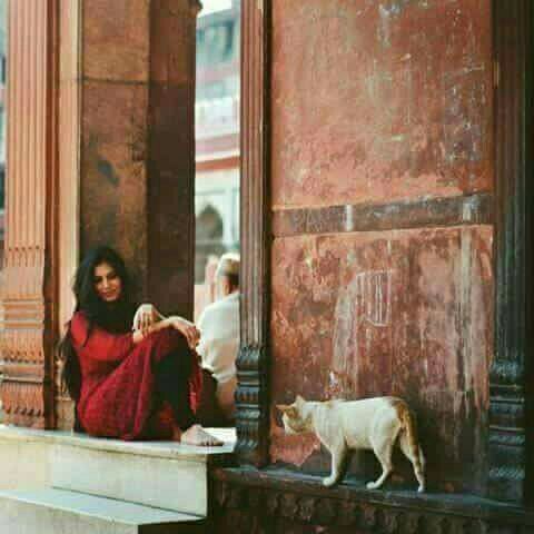 🎀
      🎀
           🎀 

🌺💫🌺💫🌺

🌺💫🌺💫🌺

ها يروحــي شحصليتــي؟

       كتلــج الوادم سوالــــف،

                     لا قنعتــي ولا رضيتــي..!
!!
!!
!!