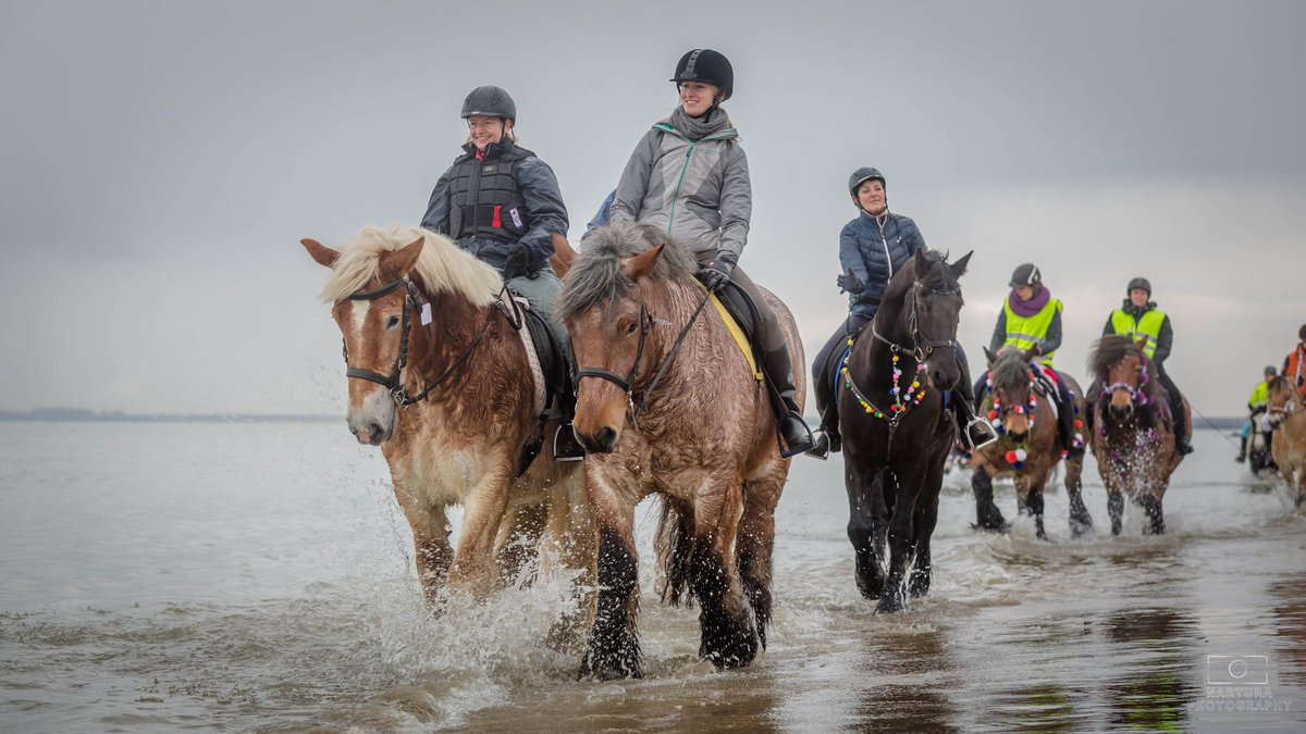 E_van_den_Ham's tweet photo. #Strao #Renesse
Super dag aan #Zee
Grote dank aan Jaco Groendijk voor gastvrijheid!
@dezeekust
https://t.co/WCEyaKKrC6 https://t.co/UFCXbq4IbA