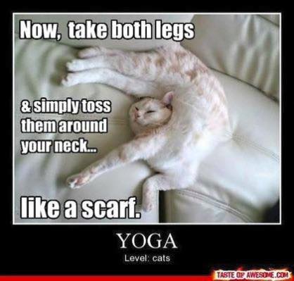 kirstygjackson's tweet photo. If only!!!!! So looking forward to teaching #yoga this #Wednesday. 7-8.30pm #Overleigh St Mary's School Hall, #Handbridge,# Chester CH4 7HS
#classes #ones to ones #workshops #meditation #breathwork #relaxation #naturopathic nutrition #de-tox #healthy living with Kirsty https://t.co/HtNLz3DVrk