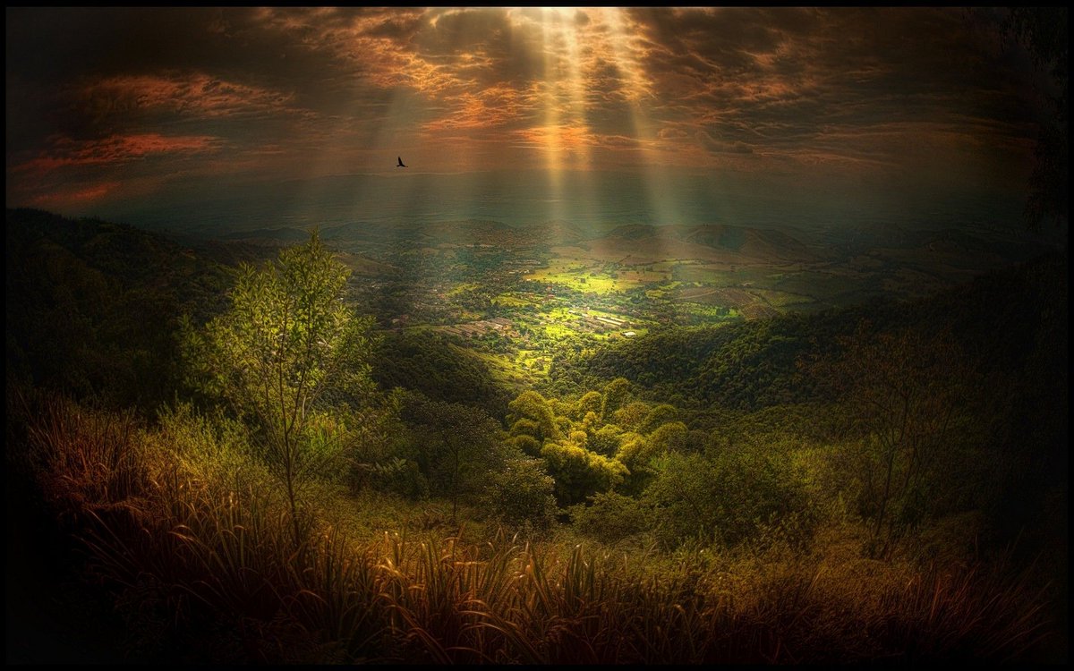 noveliciouss's tweet photo. "Nothing can dim the light which shines from within."
Maya #Angelou
#writing #writerslife https://t.co/l8iBzfTTcD