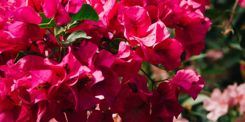 Just moments from the National Park boasting French and Tuscan dining. Explore our picks of St Ives. ed.gr/d4ca