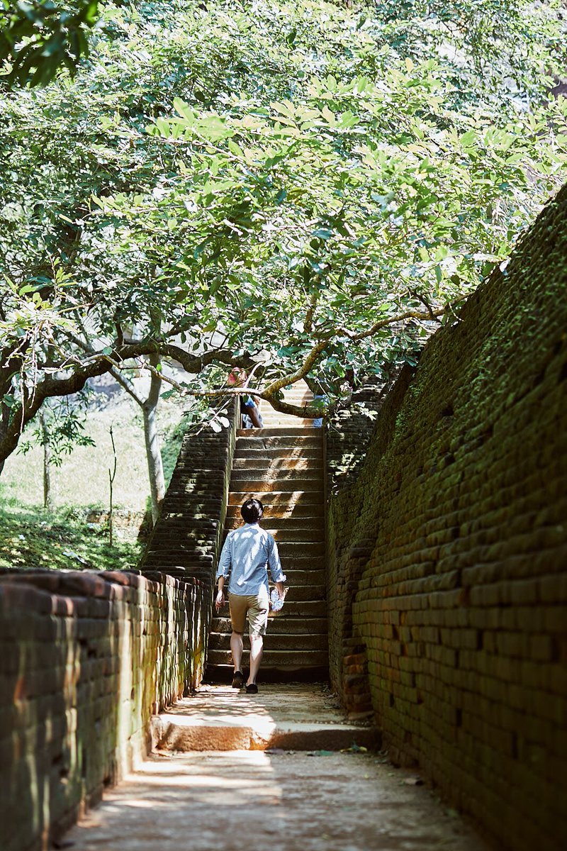 Yansukim ヤンス キム در توییتر 世界遺産 シギリアロック 11kgのカメラバッグを背負い 1時間半で登頂 むかし この岩の上 にはお城があったんだって