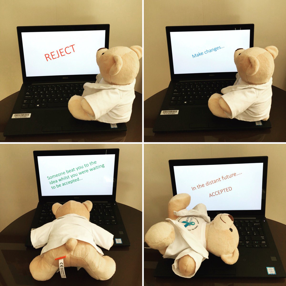 iimerbear's tweet photo. #reserchpaper #sciencejournal #ScienceBearSunday #ScienceBear #mecfs #iimer #Science https://t.co/ODDNybMPJ8