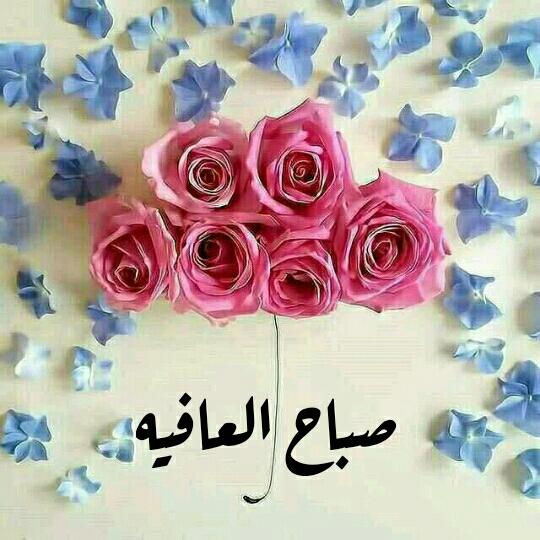 DzbIpiHnrj1qMvj's tweet photo. 💫اللهم صل على محمد وال محمد 💫 
┈💭🍃💕🍃💭•┈​​

🕊 أسأل الله بكل ما تحمله هذه الساعات 
من بركة وفضل 
أن يجعلكم من أسعد السعداء 
وأن يتم عليكم النعمه والهناء
وأن يغفر لكم ولوالديكم 
وان يحفظكم من كل
 سوء وبلاء ،، 🕊
    اللهم آمين
⛅️ صباح الخير ⛅ https://t.co/ylEfSjKbeC