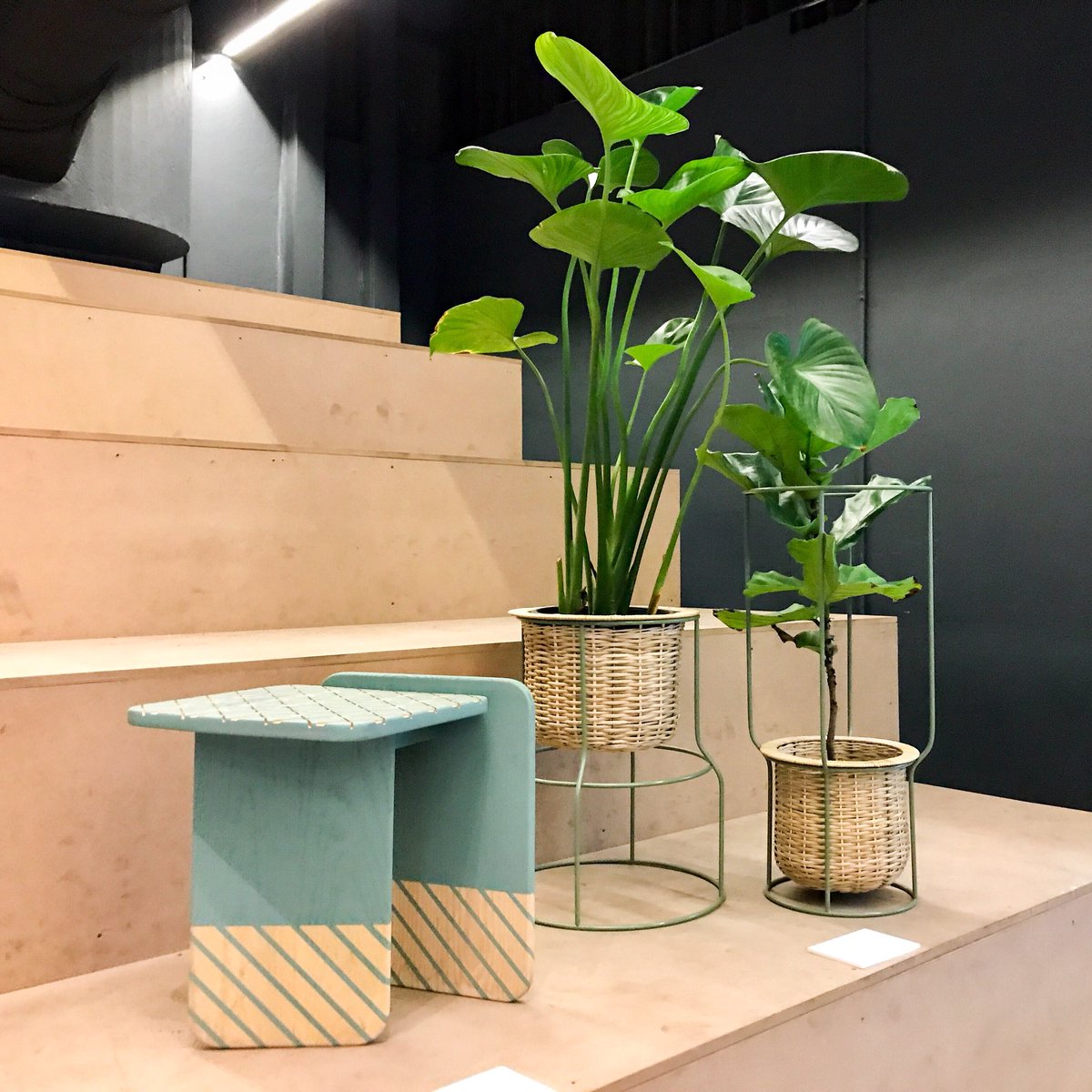 aceimage's tweet photo. อยากหิ้วกระถางต้นไม้กลับบ้านมาก 😆 #ThinkkStudio

#BKKDW2018 #BangkokDesignWeek2018 https://t.co/wfKyzrv5FC