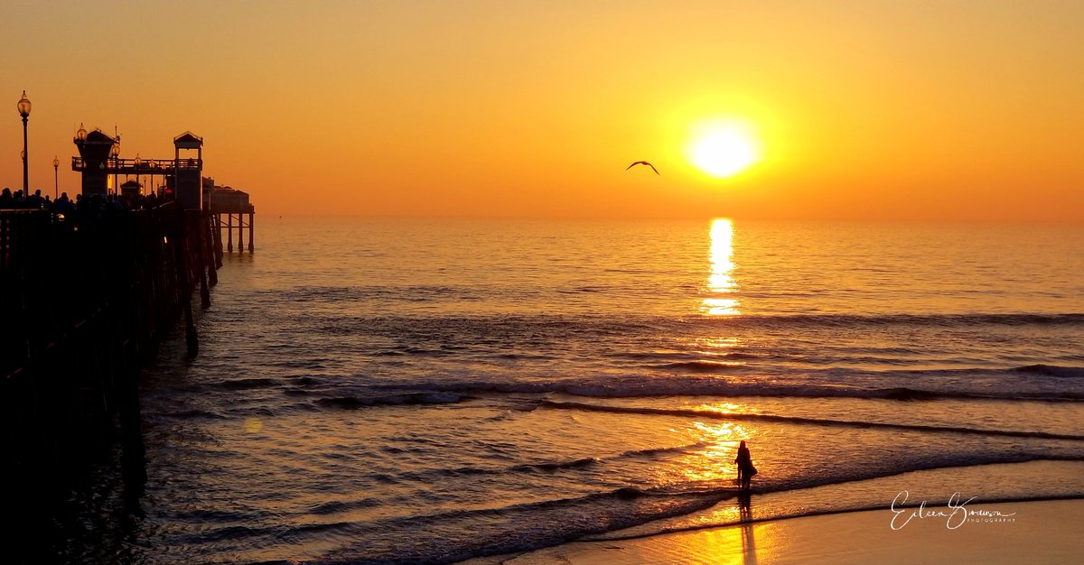 EileenHHNJ's tweet photo. Beautiful evening at my Pier this evening. Will post more after THE GAME! #oceansidesunset @LIVE_COVERAGE #californiawinter @10NewsDesk @CecilyTynan #stillmisseastcoast https://t.co/Y4ZKskkX1A