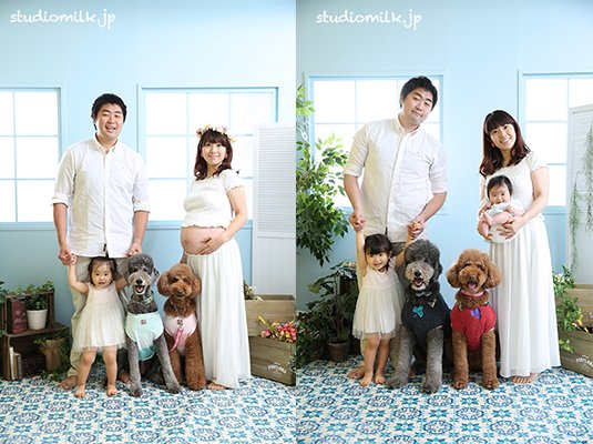写真館スタジオミルク 東京杉並 En Twitter マタニティフォトと 生まれた後のファミリーフォトの ビフォアアフター マタニティフォト 撮影される方は参考にされてくださいね スタジオミルク Studiomilk マタニティフォト ペットフォト T Co