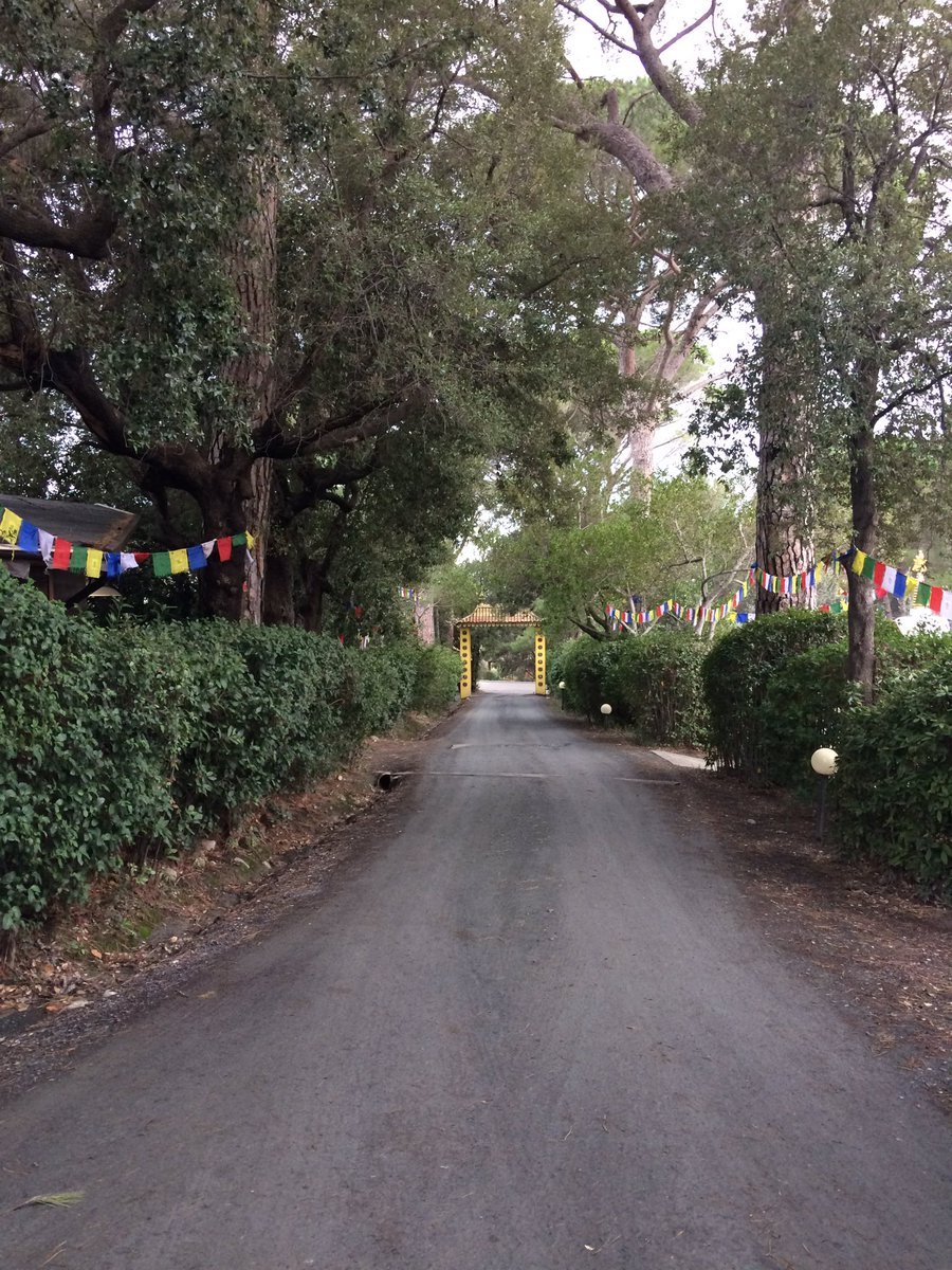 LauraMacDB's tweet photo. The place I feel like home #LamaTzongKhapaInstitute #Iltk #Pomaia https://t.co/uNVHuY3OjZ