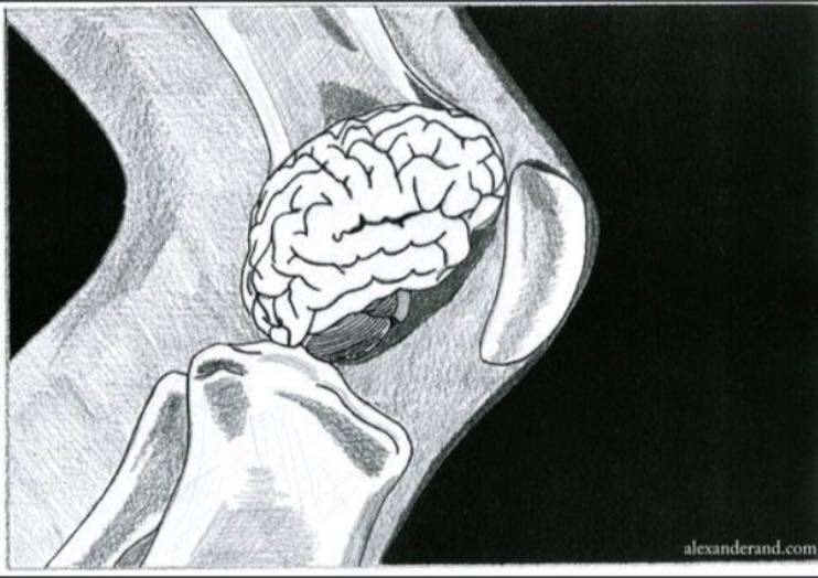 OK, when I'm wrong I say so. They have released the scan of the French player who left the field for a HIA allowing a replacement to take his place. Who'd have thought?......