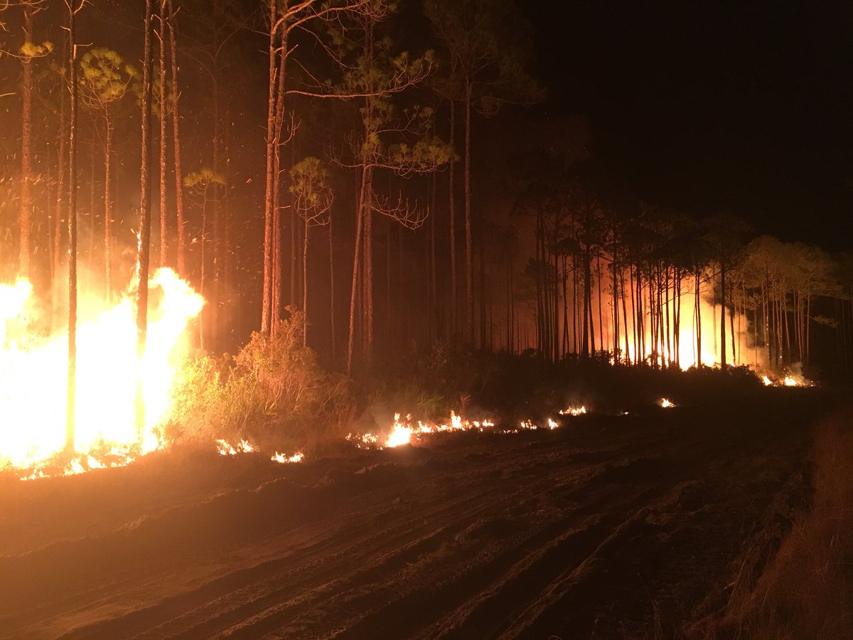 Module Members from Avon Park are currently at <a href="/TeamTyndall/">Tyndall AFB</a> Tyndall AFB assisting with a wildfire. @USFWSFireSE <a href="/freshfromFL/">Fresh From Florida</a>
