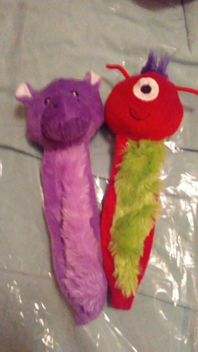 WidgetGizmo's tweet photo. @YankesGrl99 #WithABuckFiftyAWeek we gets a new toysies at #DollarTree!
Plus 81 cents to put in kittiemama's retirings fund!
#Yaaaaaaah!
Thanks @speakerRyan! https://t.co/rCfLXDXTda