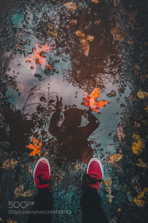 Peace #photodiscover
 drscdn.500px.org/photo/24489328…