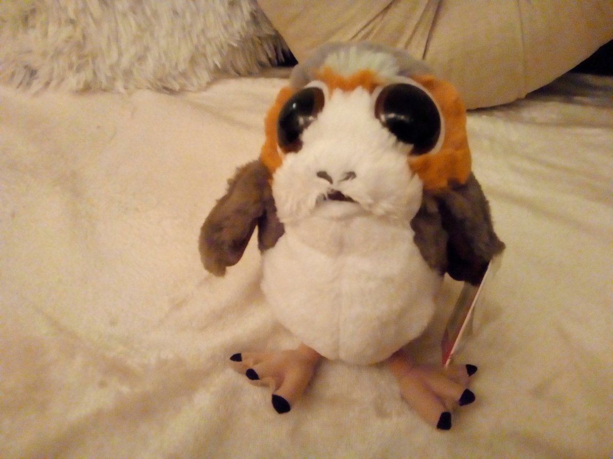 Porg
