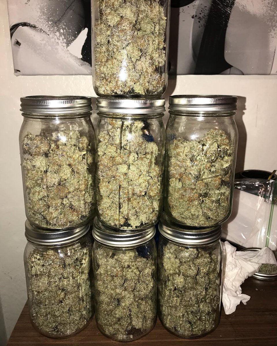 mate_got's tweet image. 