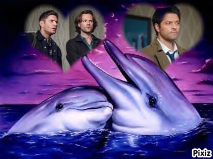 KayBlackwell73's tweet photo. Good Day to my #SPNFamiIy https://t.co/ksKGR235JK
