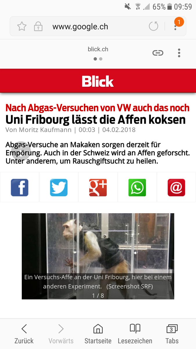 NancyHolten's tweet photo. #Tierversuche sind nicht nur unethisch, sondern auch nicht auf den menschlichen Organismus übertragbar. Es gibt längst Alternativen dazu. ❤Danke @Blickch, dass ihr immer stärkere Aufklärungsarbeit im Tierschutz leistet. 👍#NancyHolten #Tierversuchsverbots-Initiative #Vegan https://t.co/LM3dwPt3u3