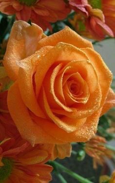 <a href="/LindaLa40849215/">Linda Beau Lady 1</a> <a href="/yacine33HOB/">HD yacine</a> @Ginacer1 <a href="/SimplesmenteSyl/">💄💋🍓SYL🍒👠🍷</a> <a href="/PptMary/">Electra ๑✿.๑¯`·❥🚫DM</a> <a href="/ESTHERBLQU/">ESTHER</a> <a href="/poemprose/">Huma Yusuf</a> <a href="/ViviHua71296541/">Vivi Huang</a> <a href="/bgvalkyahoocom1/">Bg.valk🌟🌈</a> <a href="/ersu1880/">gönül akyar</a> <a href="/Sylpete/">💗Sylpete 🌹</a> <a href="/bianca333_s/">Bianca333S</a> <a href="/Lorebl034/">Lorebl03</a> @Elamatusiak3gm3 <a href="/ladevita12/">Anna Gaudreault</a> <a href="/EliLeonarda/">👄☀ Ệŀïẓäńġệŀä 🌷🌿</a> <a href="/niuracastrillon/">𝙉𝙞𝙪𝙧𝙖 𝘾𝙖𝙨𝙩𝙧𝙞𝙡𝙡𝙤́𝙣 🇧🇷</a> <a href="/MatyldaStein/">M.</a> <a href="/taxi_ede/">VIEdeTAXI</a> <a href="/CoquetteEric/">NINIE-du HAINAUT (Nicole)</a> <a href="/cathhewat123/">🌺 CATHY 🌺</a> <a href="/Rimiquen_DSM/">Rimiquen</a> <a href="/nataliepastor7/">🦋💗 Nᥲtᥲᥣιᥱ 💗🦋</a> <a href="/DebbieZimmer54/">Debbie</a> <a href="/micheleblond1/">michele blondin</a> @JuanaDeArcoFr <a href="/EdytaBaracz/">Edyta Baracz🇵🇱</a> @margottunzi <a href="/SuzanneLepage1/">Suzanne Lepage</a> <a href="/elsufuen/">Susana Fuentes</a> @moomoo089 @zouzou_ni <a href="/ghadazien/">ghada</a> @cko_mx <a href="/starseed009/">Star Seed</a> <a href="/mariaevaMerta/">mEV🌹🇨🇦♥️@meevamem @mariaevaMerta</a> <a href="/EstelagomezG/">EstelaGomez Eva Gomez</a> <a href="/sunuwar_ramila/">Ramila Sunuwar</a> <a href="/davorinb/">Davorin Grabovac</a> <a href="/EliArtFashion/">Eli Marques 💖 ⛤ ✿●‿●✿ 🌸🌸</a> @Tams_Cookie_Lee <a href="/TAMMYYO86840808/">TAMMY YOUNG</a> @TammyDSanford3 <a href="/rosigorete/">🇧🇷 Ro</a> @rosina_strebig <a href="/estrogenplus/">Breast Cancer Sucks</a> <a href="/hamdeenfahed/">saudi</a> <a href="/Anneke_Nature/">Anneke Langendam</a> <a href="/FlowergirlPaula/">⚘🌺sweet pea..🌷▪︎🩷*~💕⚘🌸🌷☆⚘○🩷~♡☆⚘🌷▪︎🦋🌸•°~*</a> <a href="/FloverRed/">Flover</a> Hello dear Linda😍💖Thank you so much for your a nice wishes to me💖🌹🌹🌹Have a great Sunday to you💖Be happy always dear ❤️