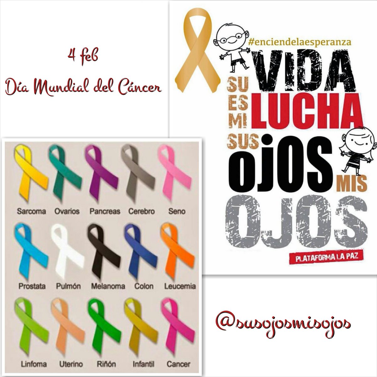 SusOjosMisOjos's tweet photo. En el #DiaMundialContraElCancer desde @SusOjosMisOjos queremos homenajear a nuestros valientes supervivientes que luchan día a día contra el #retinoblastoma #rabdiosarcoma y otros cánceres asociados a la visión. Sin el equipo que lideraba el dr Abelairas..
https://t.co/lo3vTZ5ATh https://t.co/95Dfm6hu7I