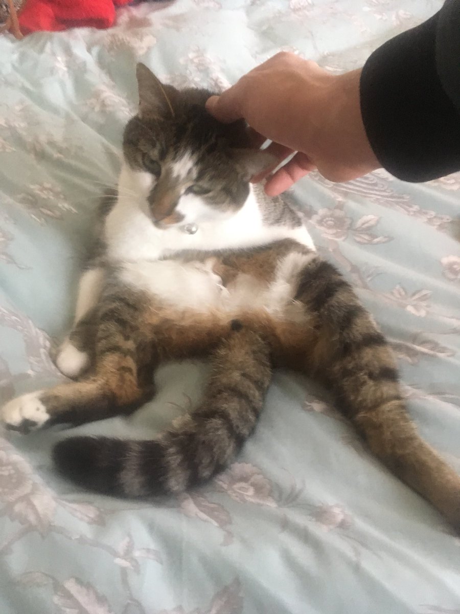 Eddie Dennis tweet media