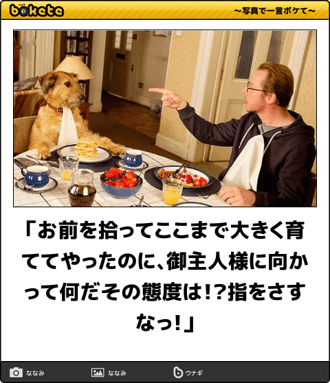 お前を拾ってここまで大きく育ててやったのに、御主人様に向かって何だ 
