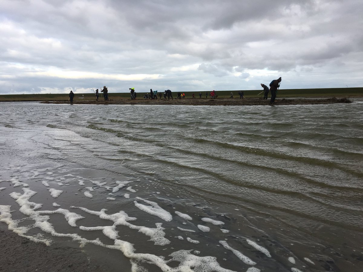 LoranTinga's tweet photo. Vrijwilligers Natuurmonumenten die bij Stayokay Texel verblijven, maken de schelpeneilandjes in Utopia weer broedklaar voor de grote sterns. https://t.co/xjdAk8Yp77