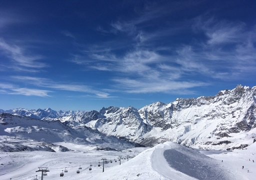 TheSnowCo tweet picture