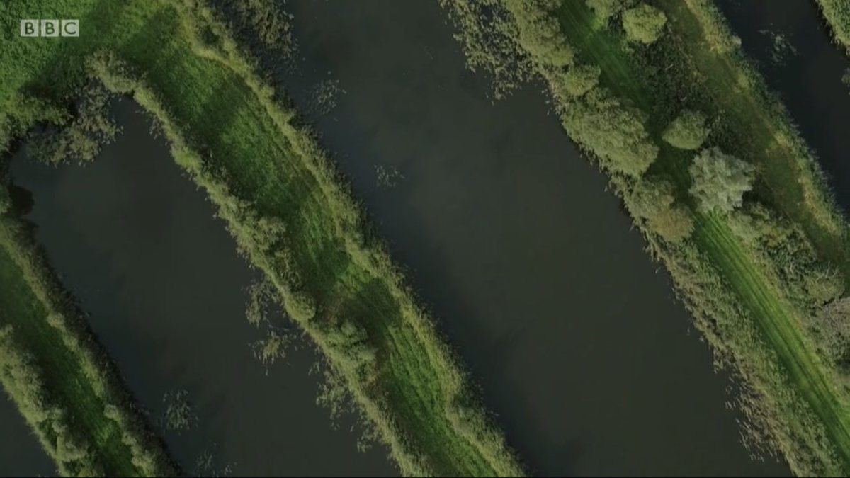 Mat_Lester's tweet photo. Great to see some aerial views
 of the Avalon Marshes that I operated on with pilot @JamesCox237 on @BBCTwo last night! Loving the series so far! #HughsWildWest @KEOfilms @DoghousePostPro @CirrusAerials https://t.co/DcGAPPRhyO