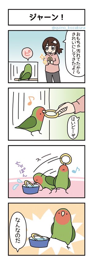 みり コザクラインコ 4コマまんが 164 ジャーン 4コマ Web漫画 鳥 コザはじ みり コザクラインコ 4コマまんが 164 ジャーン 4コマ Web漫画 鳥 コザはじ