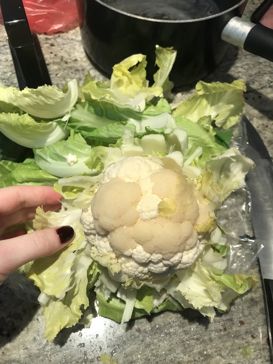 CharlieWhicker's tweet photo. @Tesco thanks Tesco’s for worlds smallest cauliflower........ https://t.co/ejNgz7Q94o