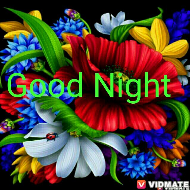 Harimangal Patel On Twitter Good Night All Friends